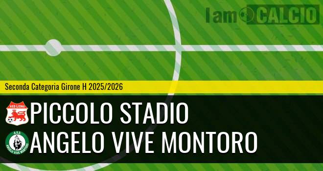 Piccolo Stadio - Angelo Vive Montoro