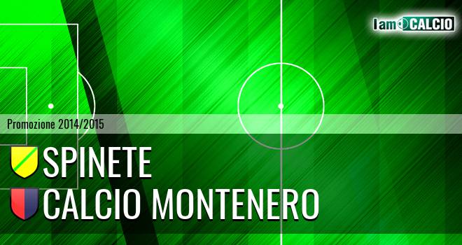 Spinete - Calcio Montenero