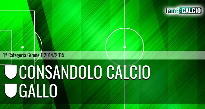 Consandolo Calcio - Gallo