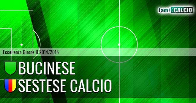 Bucinese - Sestese Calcio