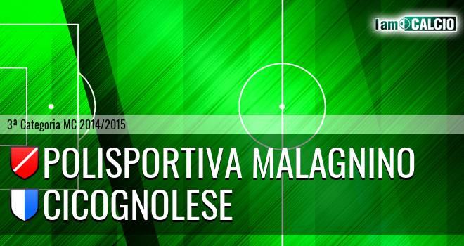 Polisportiva Malagnino - Cicognolese