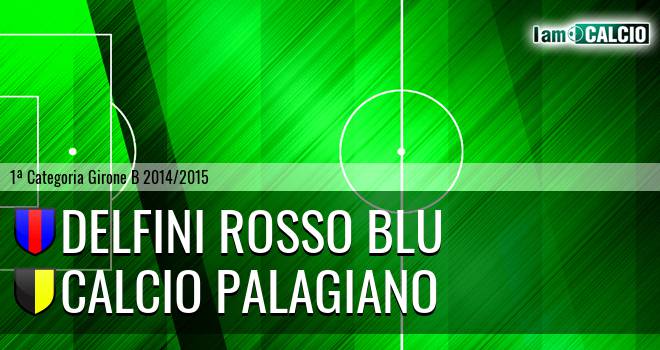 Delfini Rosso Blu - Calcio Palagiano