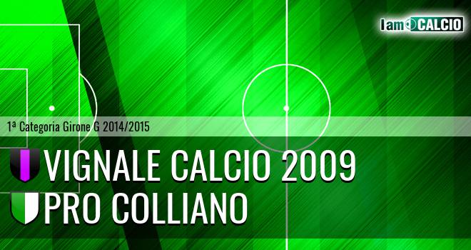 Vignale Calcio 2009 - Pro Colliano