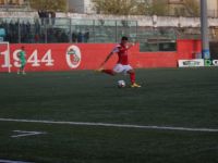 TURRIS-GLADIATOR 1-2