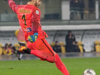 HELLAS VERONA-BENEVENTO 2-2