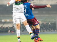 CHIEVO VERONA-VENEZIA 1-1