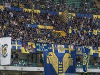 HELLAS VERONA-ASCOLI 3-1