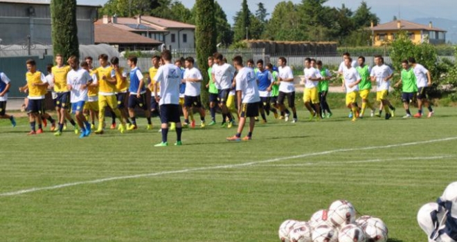 La Primavera di D'Anna