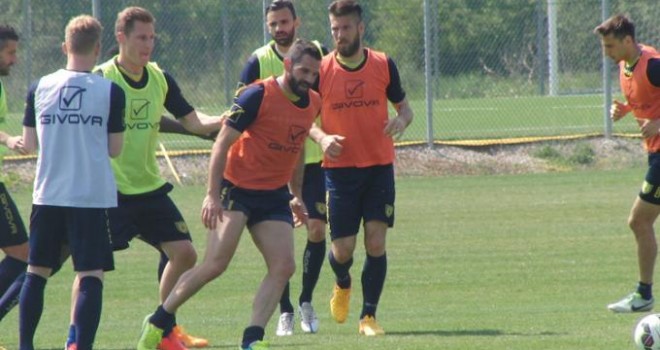 Veronello: oggi doppia seduta