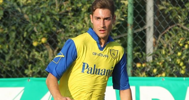 Michele Troiani