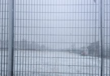 Clamoroso in Terza Categoria: partita persa per 5-0, multa e penalit&agrave; 