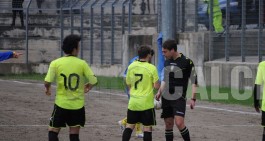 Sepe squalificato per tutta la stagione? La risposta del Pro11 Fellino