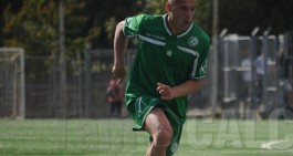 Avellino: ecco la situazione mercato. Gatto 'in' e Tavano 'out'?