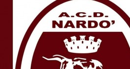 Nard&ograve;: a Picerno terza vittoria consecutiva e quarto posto agganciato