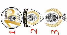 Esito Sondaggio Logo Gattinara