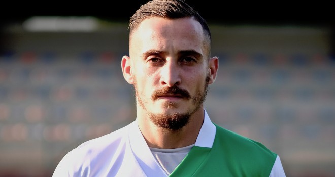 Pippo viscido