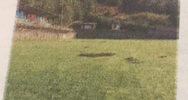 Branco di cinghiali devasta l'Andreolo di Bella: manca la recinzione