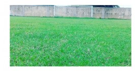 Il Falciano Calcio cura i minimi dettagli per la prossima stagione