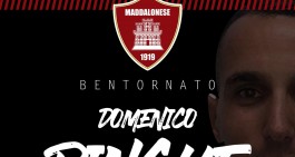 Maddalonese. Il primo colpo arriva dal Marcianise. Rinnovano in tre