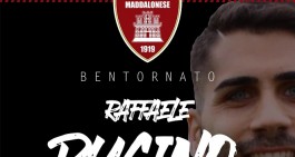 Maddalonese. Arriva dal Marcianise il miglior terzino della Promozione