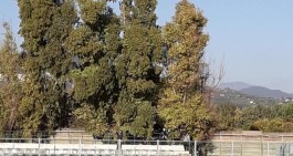 Promozione D: programma 9&deg; turno e designazioni arbitrali