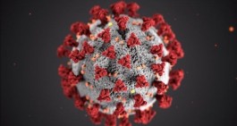 Coronavirus-Italia 24.747 casi e 1.809 morti. Bollettino del 15 marzo