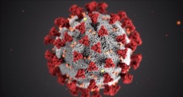 Coronavirus. Campania. I dati del 28/04 ripartiti tra le 5 province