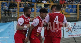 Serie D: 17 Squadre in Corsa per il Campionato 2023-2024