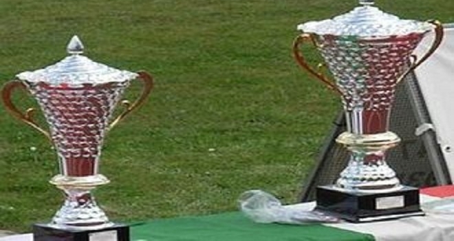 La coppa
