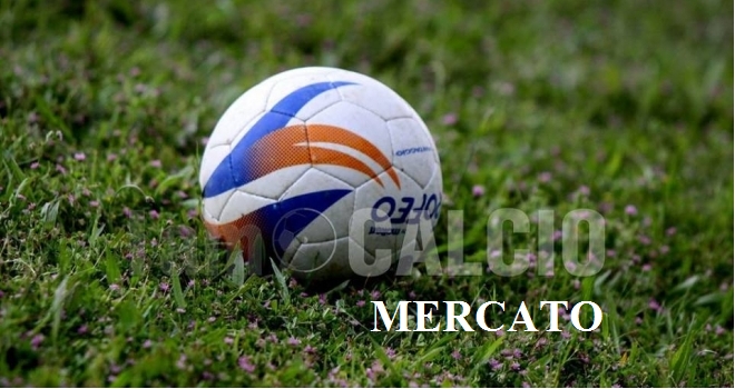 Cittanovese e Rizziconi, primi movimenti in entrata e in uscita