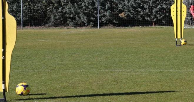 Veronello, il lavoro di oggi