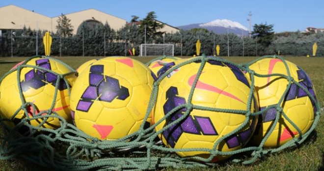 Veronello, Dainelli a parte