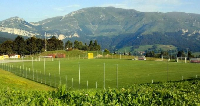 Polsa, Primavera gialloblù lavora