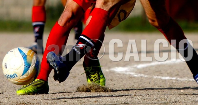 Il programma della D