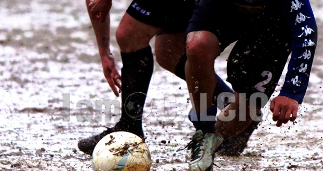 Tiger competitiva ed esaltante