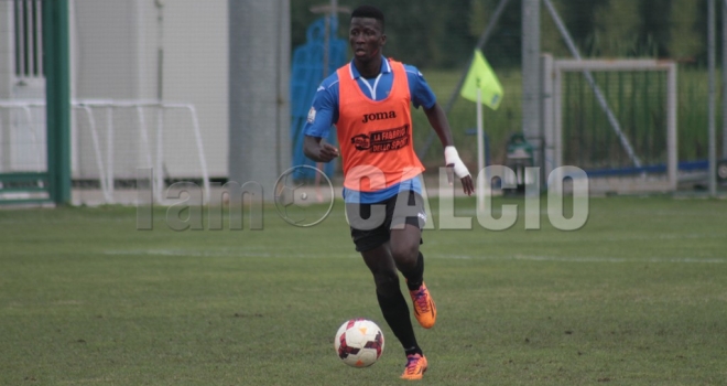 Convocazioni Torres-Novara: rientra Pesce, ancora out Bergamelli