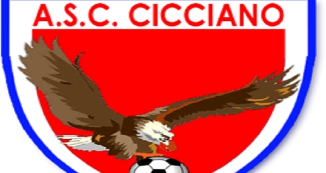Cicciano Calcio, Promozione