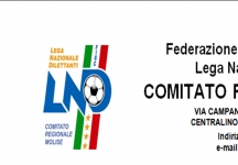 Seconda Categoria: le decisioni del Giudice Sportivo