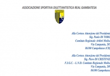 Il Real Gambatesa accusa d'inadeguatezza l'arbitro Crincoli 