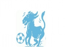 F.C. Sant'Agnello: Raduno giovani calciatori classe 1998/1999/2000