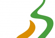 Il Catanzaro e il Matera chiedono l'iscrizione al campionato di B