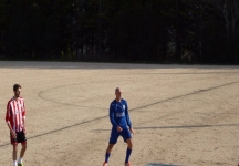 Artemisium con fatica, colpo Bonito, ad occhiali a Montoro